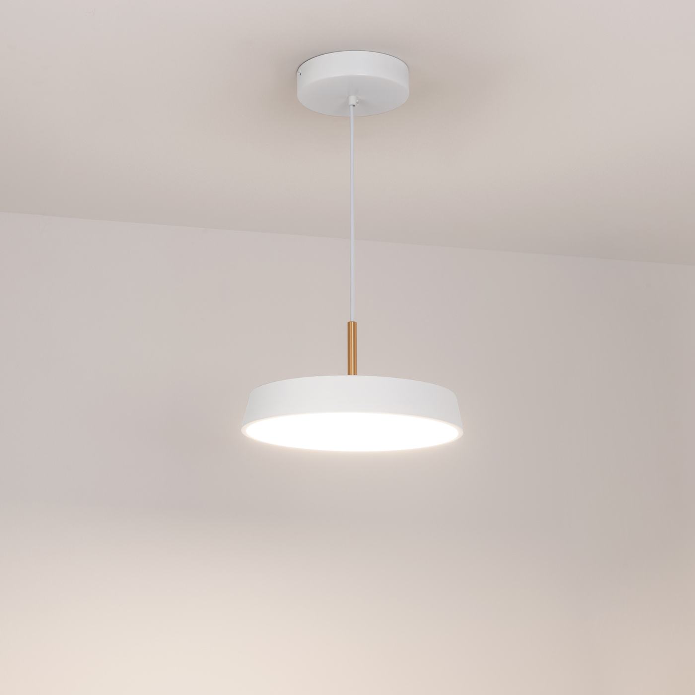 Подвесной светильник Arlight SP-ELEGANT-R300