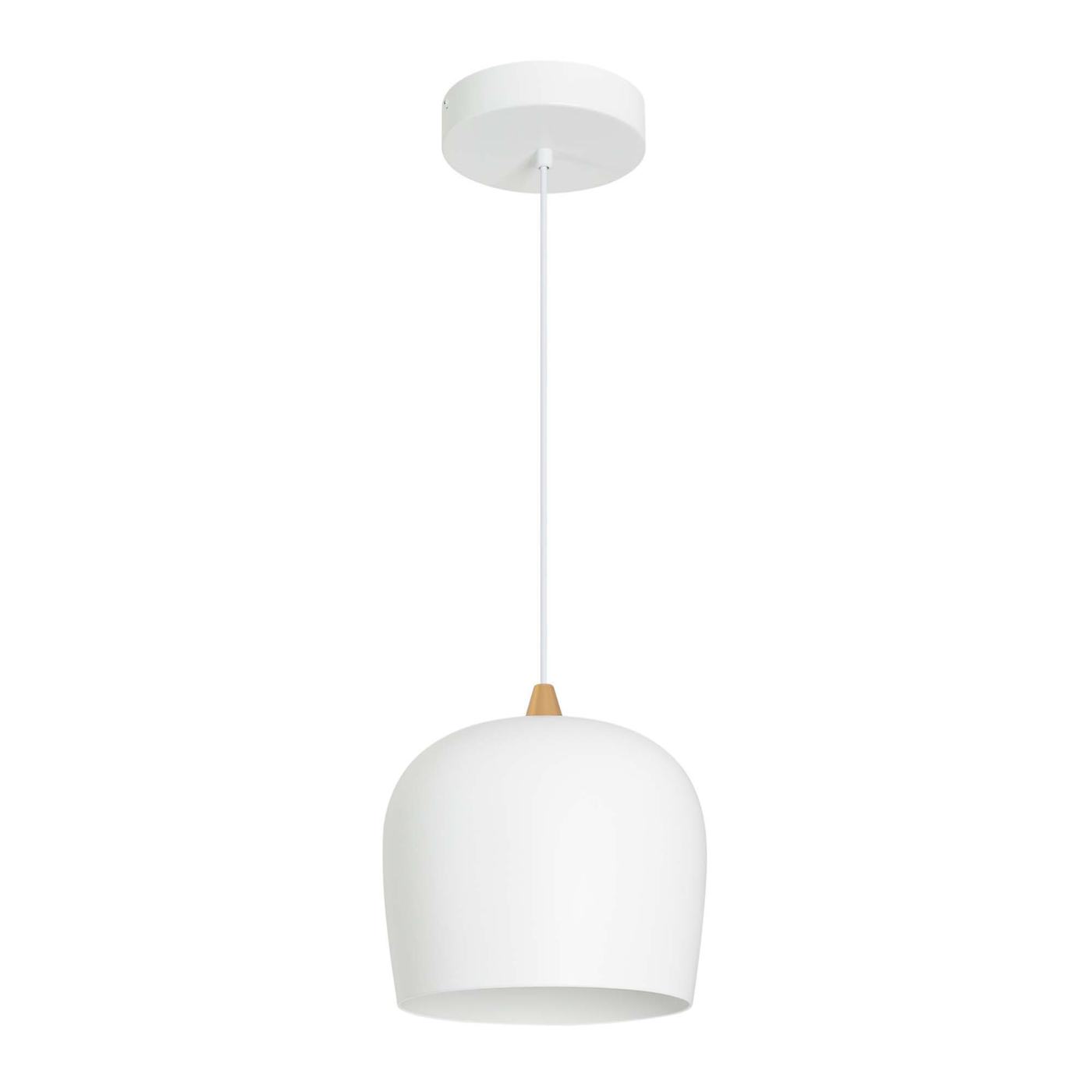 Подвесной светильник Arlight SP-PEONY-HANG-R250
