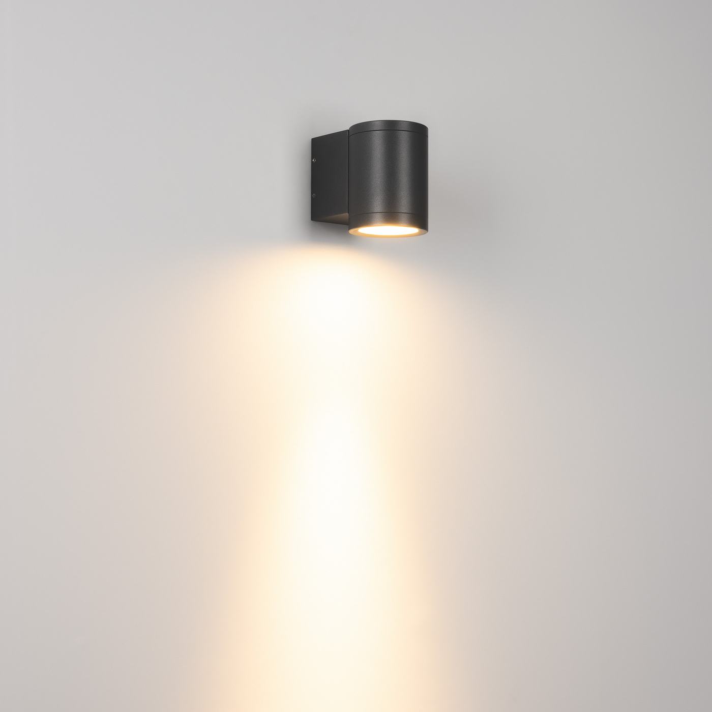Фасадный светильник Arlight LGD-RAY-WALL-R65
