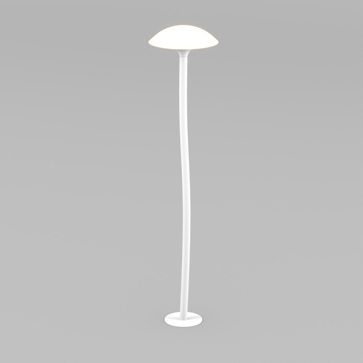 Ландшафтный светильник Arlight KT-MUCENA-BOLL-B